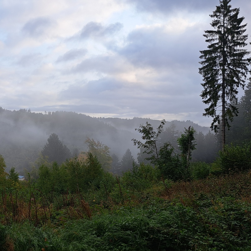 Bergen in de ochtend mist