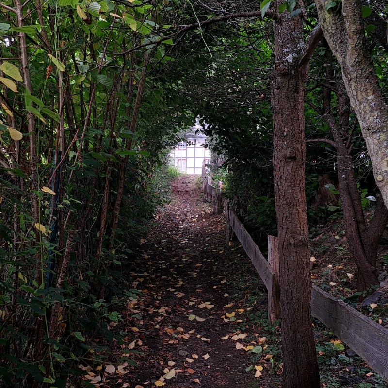doorgangtje van bomen en planten
