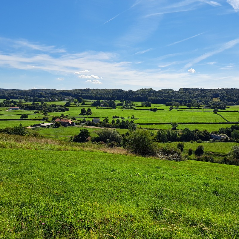 Groene heuvels en blauwe lucht