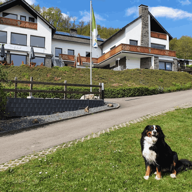 StauSeeSteig - Pension Haus Diefenbach