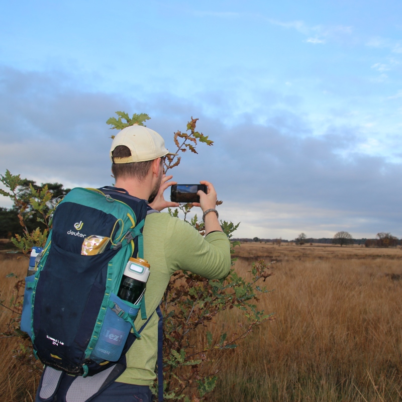 wandelen_heide