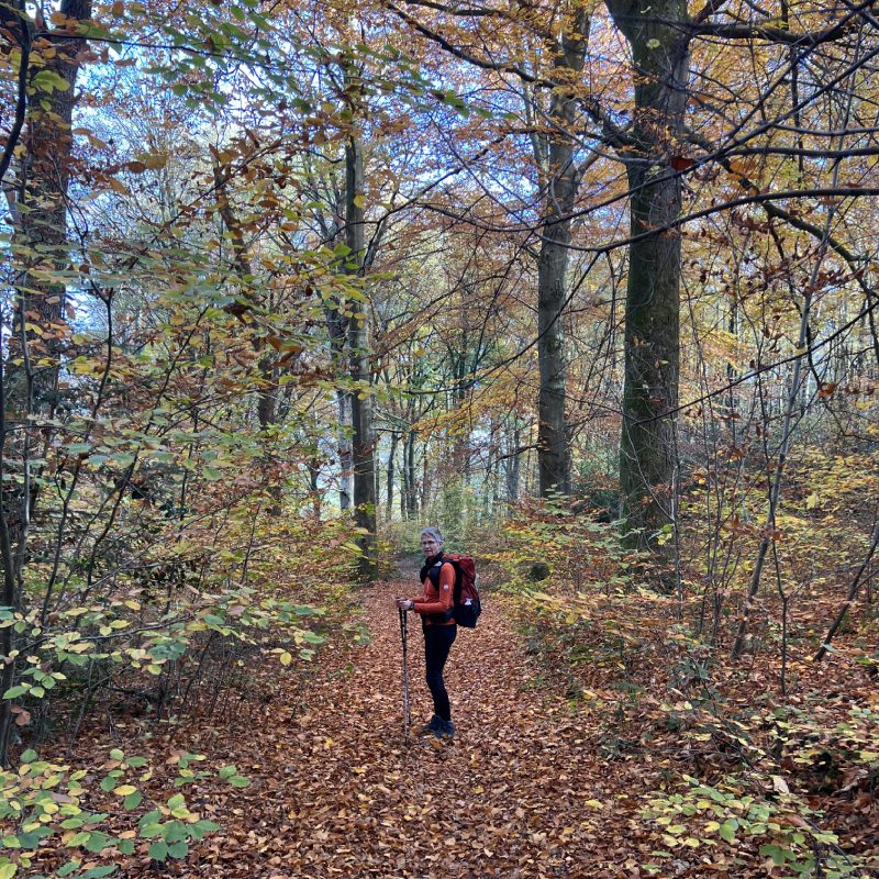 Limburg-Dutch-Mountain-Trail-Krijtlandpad