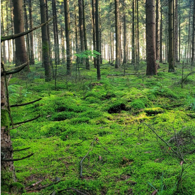 ivn drenthe trektocht