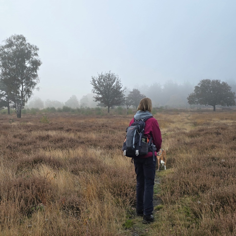 Foto van de maand maashorst