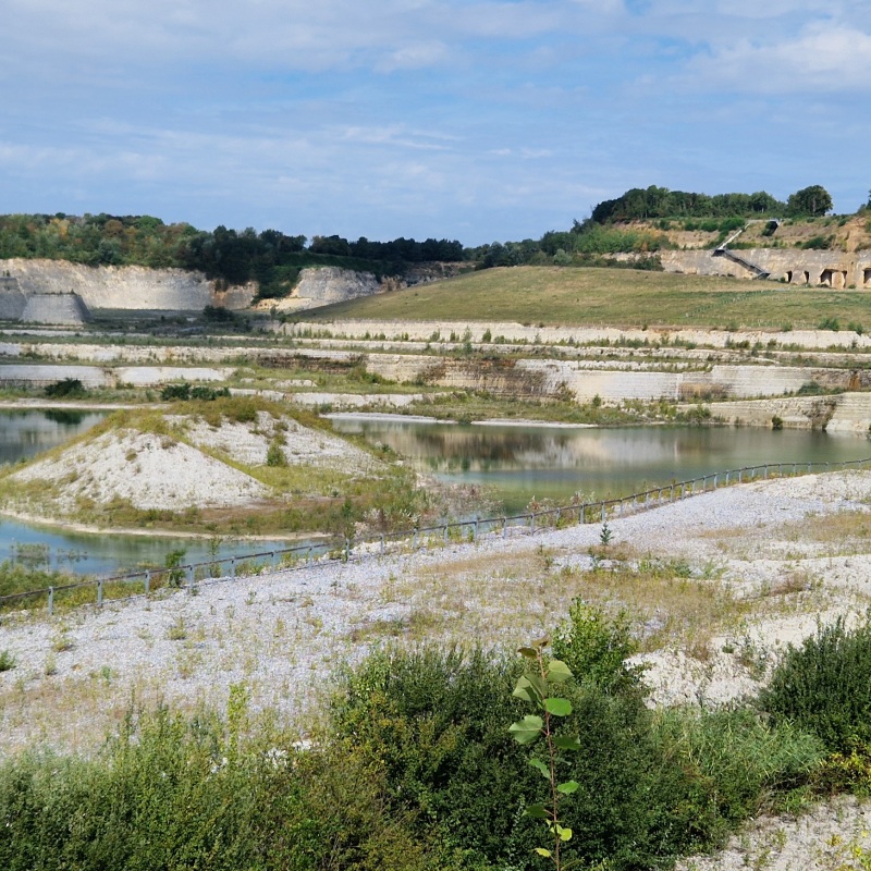 Wandelen DMT Individueel