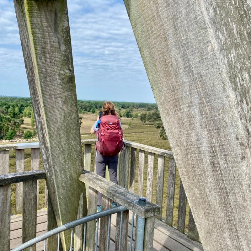 wandelen_ivn-trektocht_maasduinen_arrangement-individueel_AD_SW